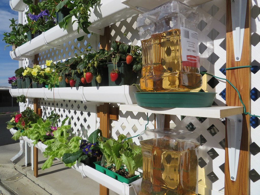 Gutter gardens
