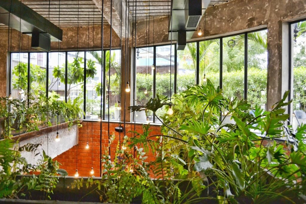 Green leaf plants