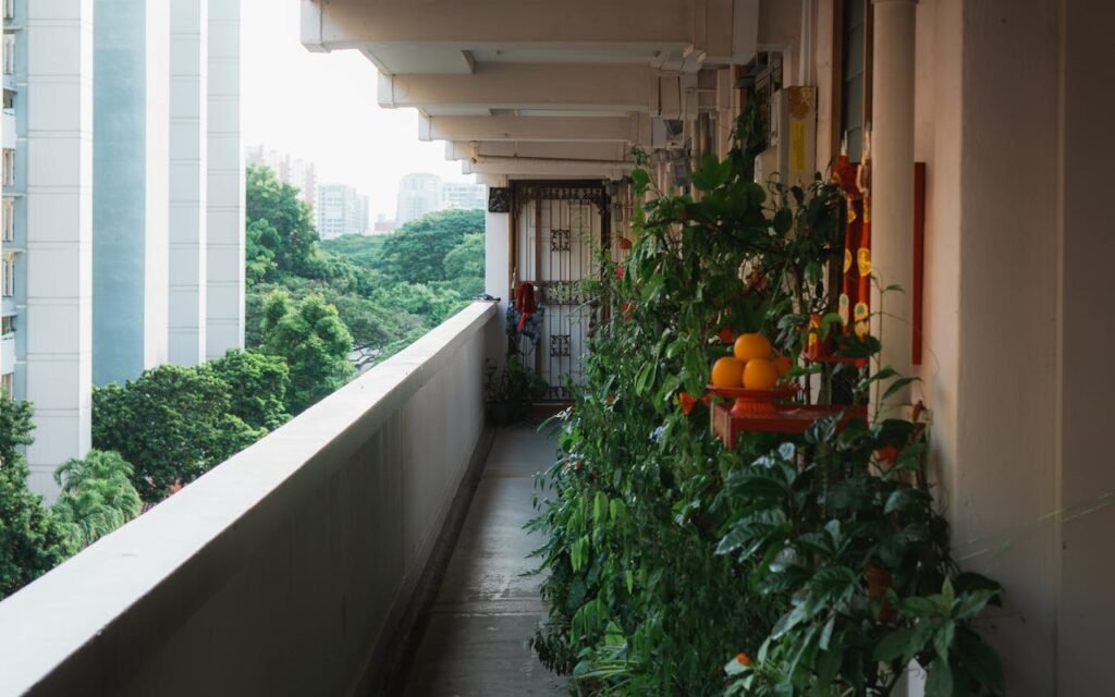 Plants in a balcony