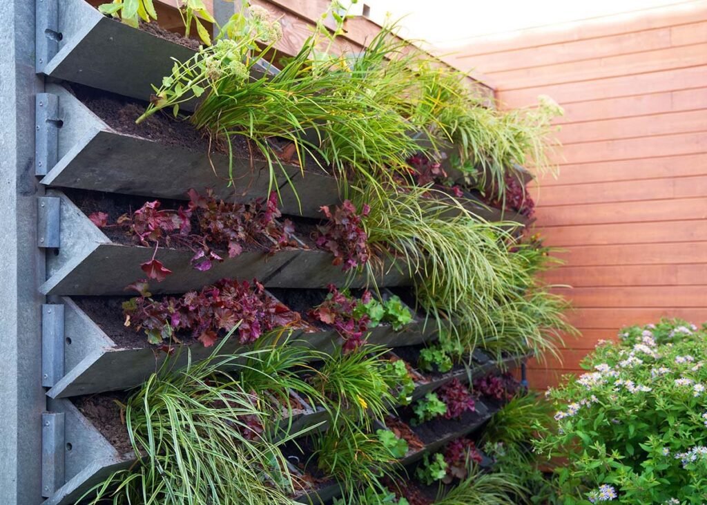 Vertical wall garden