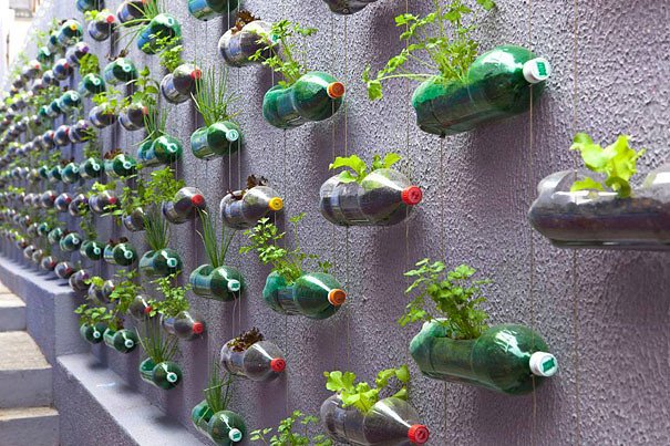 vertical garden made from recycled bottles