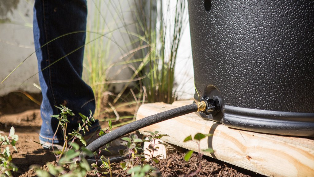 Susan Park Rain Barrel Installation