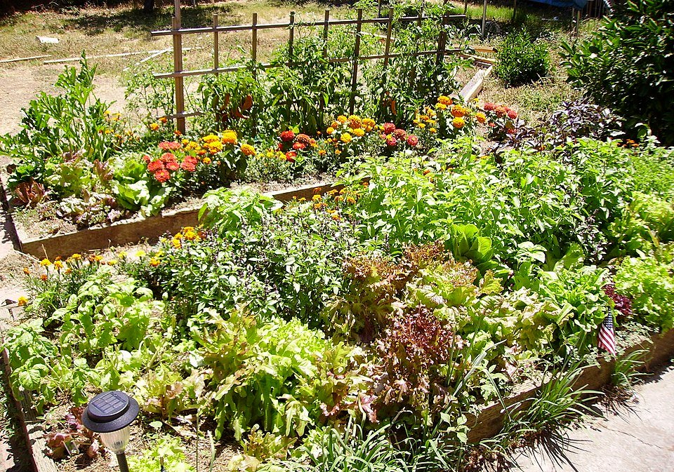 Raised bed