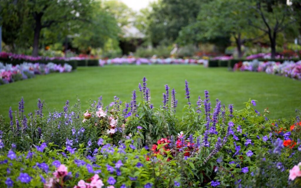 Spring flowers