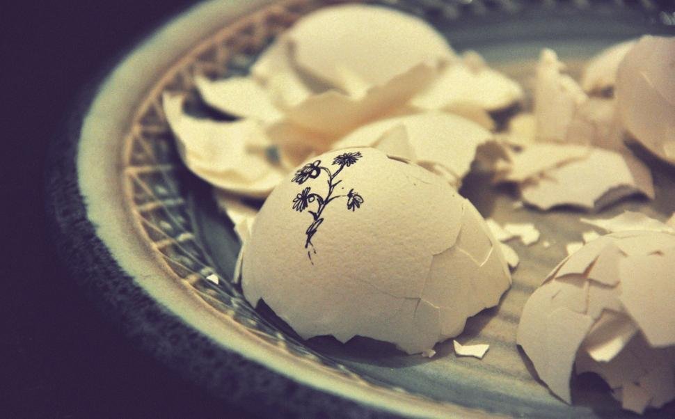 Broken egg shells with a painted flower on a plate