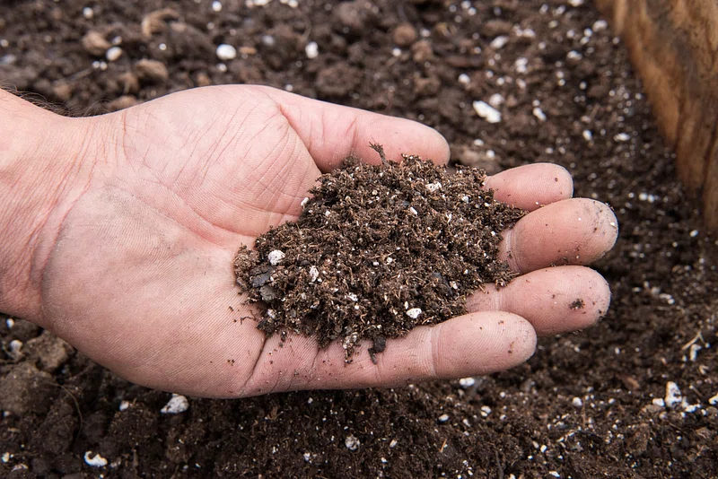 Soil