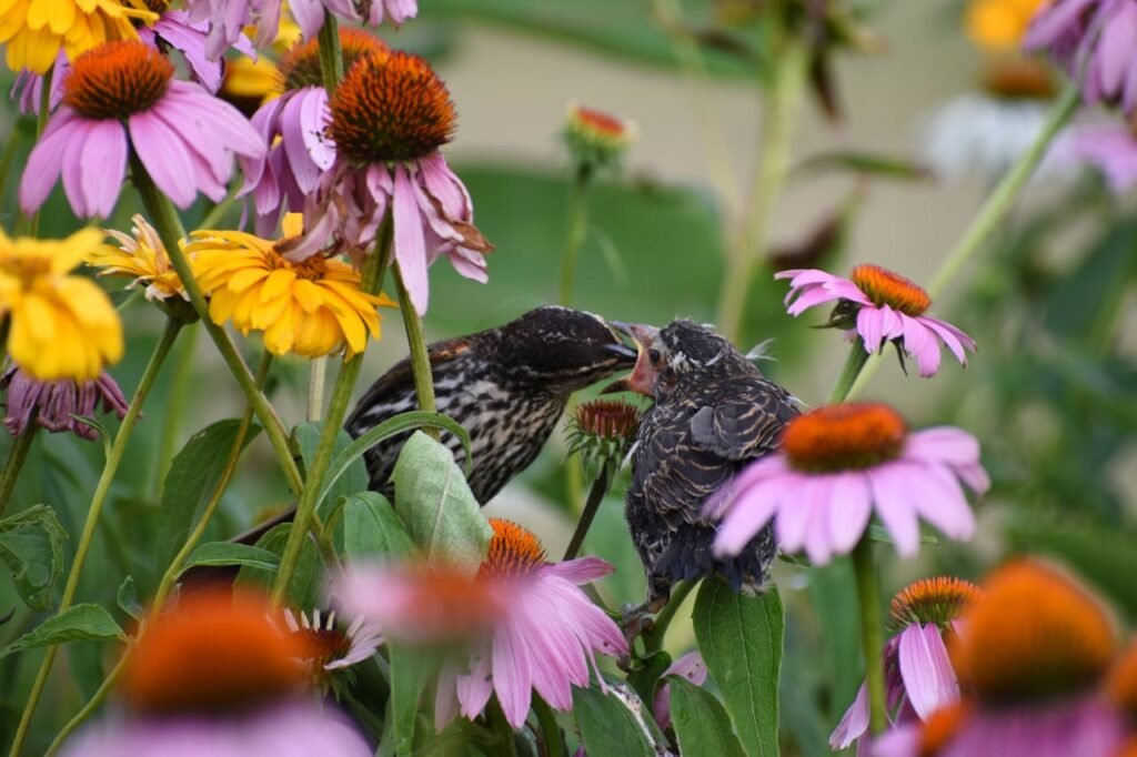 Close Up Photo of Birds on Flowers
