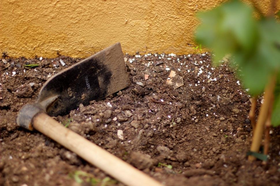 Shovel on mud