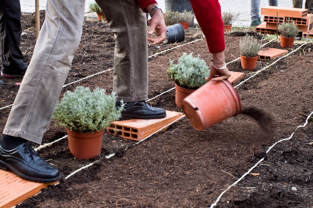 Urban composting