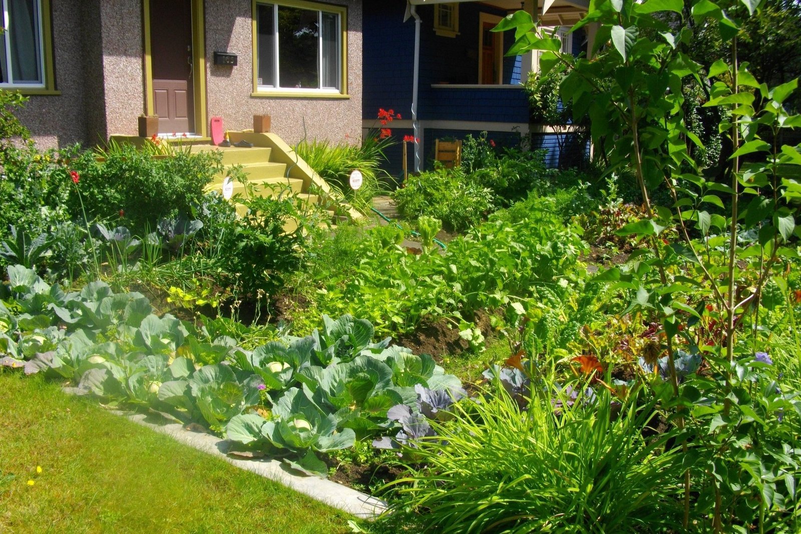 Home garden