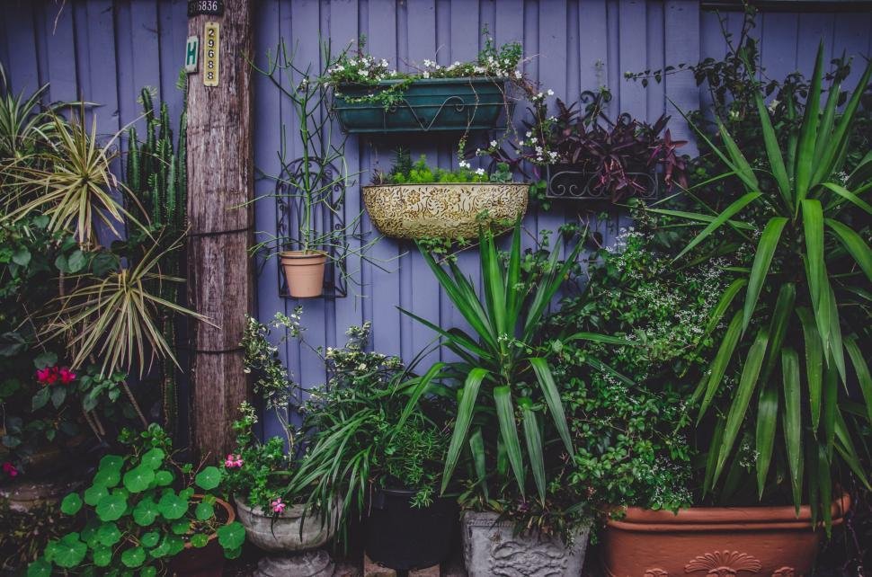 Charming urban garden