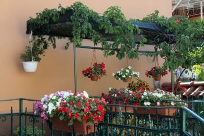 Garden in balcony
