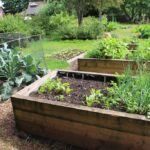 How to Build a Raised Garden Bed at Home