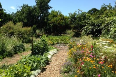The Ecological Garden, University of California at Davis