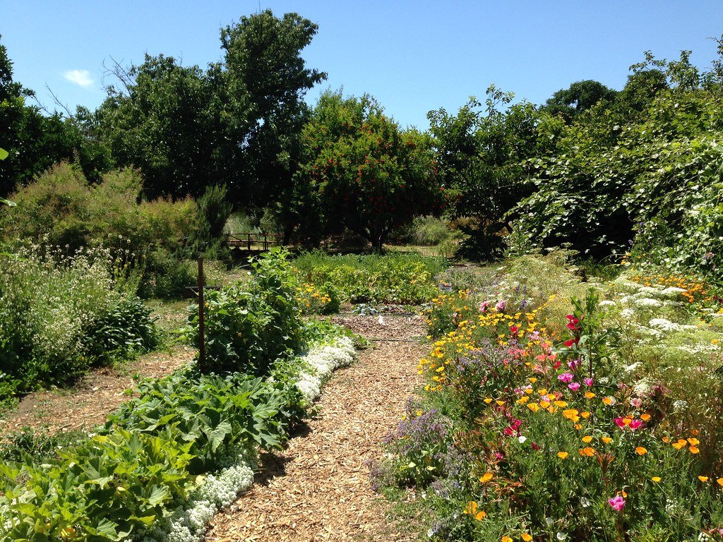 The Ecological Garden, University of California at Davis