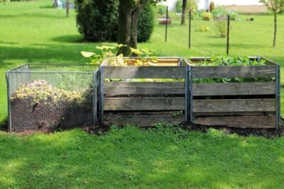 A couple of wooden crates filled with plants
