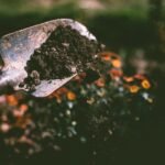 Smart Gardening Tips That Save Time and Effort