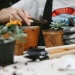 How to Sharpen and Maintain Your Garden Tools