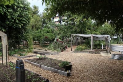 View of a Large Garden with Plants and Trees
